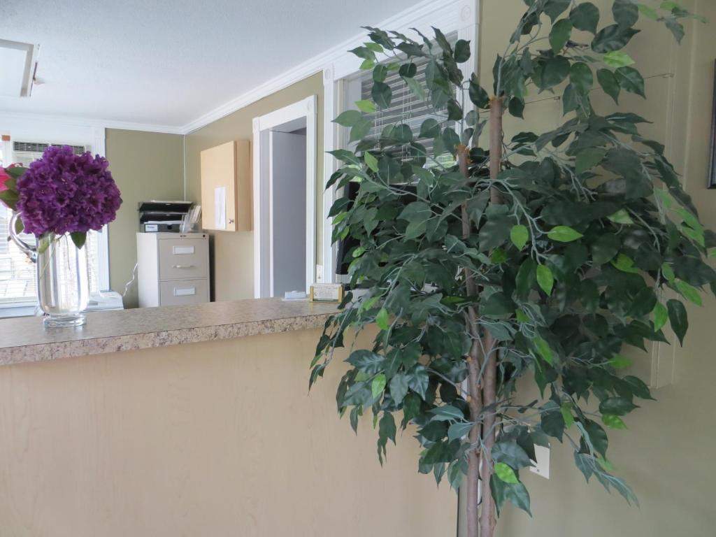 Harrison Village Motel Harrison Hot Springs Εξωτερικό φωτογραφία
